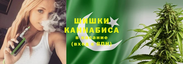 крисы Абаза