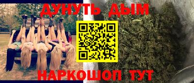 крисы Обь