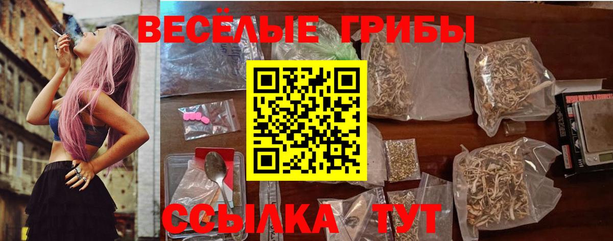 Сыктывкар  Псилоцибиновые грибы MAGIC MUSHROOMS  Вход с VPN 